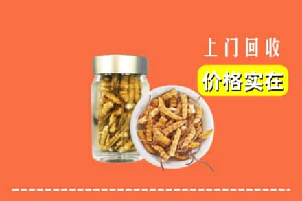 平顶山鲁山县回收散虫草
