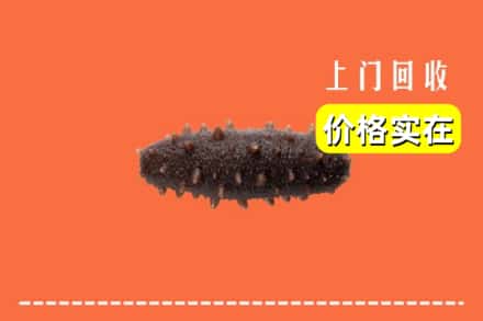 平顶山鲁山县回收海参