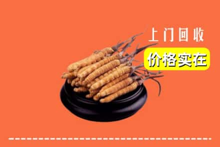平顶山鲁山县回收冬虫夏草